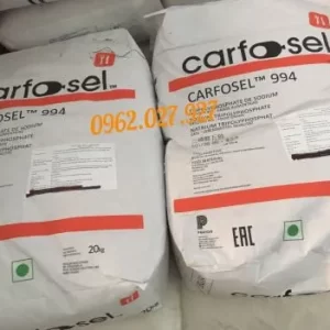 GIÒN DAI CARFORSEL