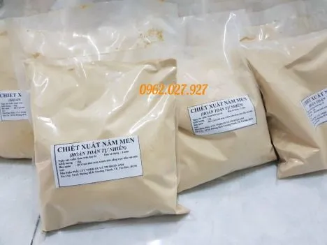 ĐIỀU VỊ TỰ NHIÊN NẤM MEN ĐIỀU VỊ