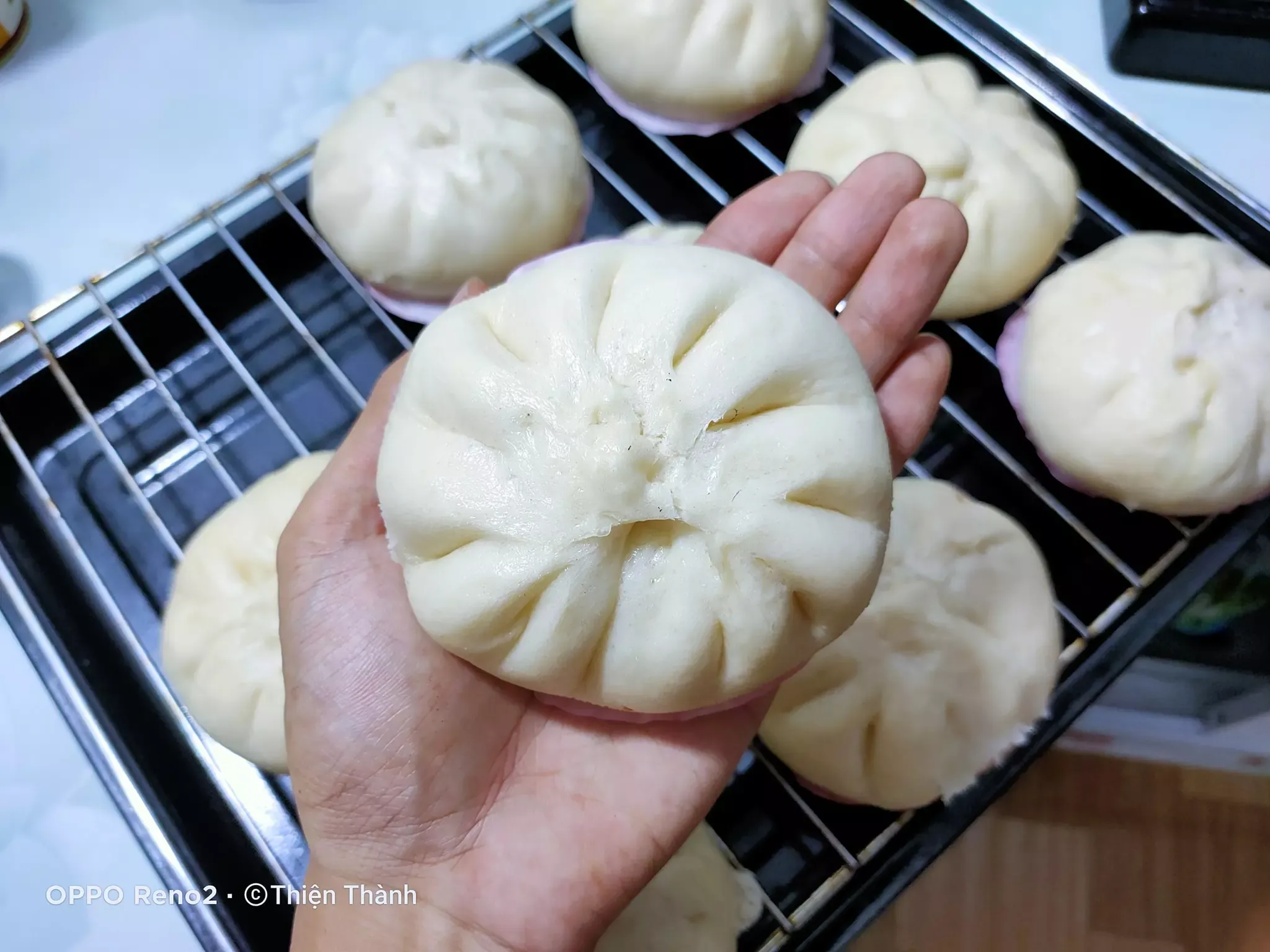 Bánh bao thịt - Tô Thiện Thành