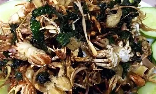 Cua rang lá lốt