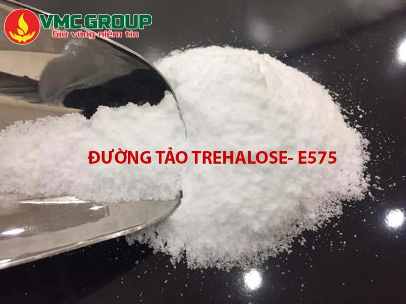 Tìm hiểu về đường tảo Trehalose