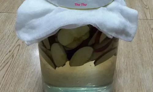 Giấm táo – Thư Thư