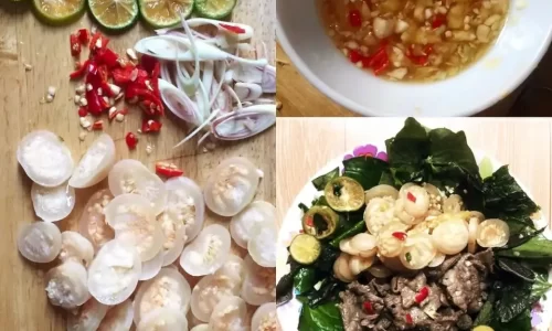 Gỏi bò cà pháo