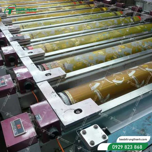 Mẫu trục in