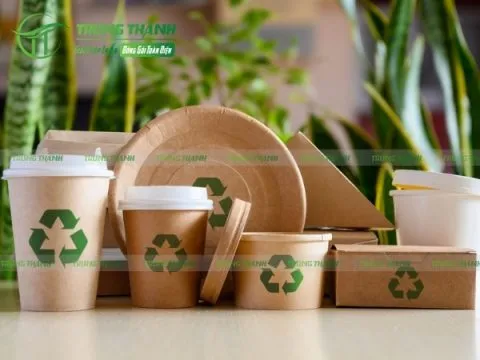 Ly đĩa chén biodegradable thân thiện