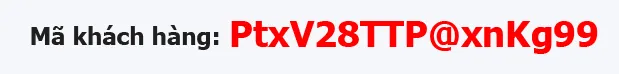 ma-km-in-tui-nilon-gia-re-bbtt-2025