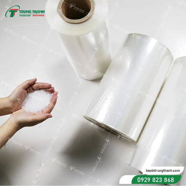 mang-co-pof