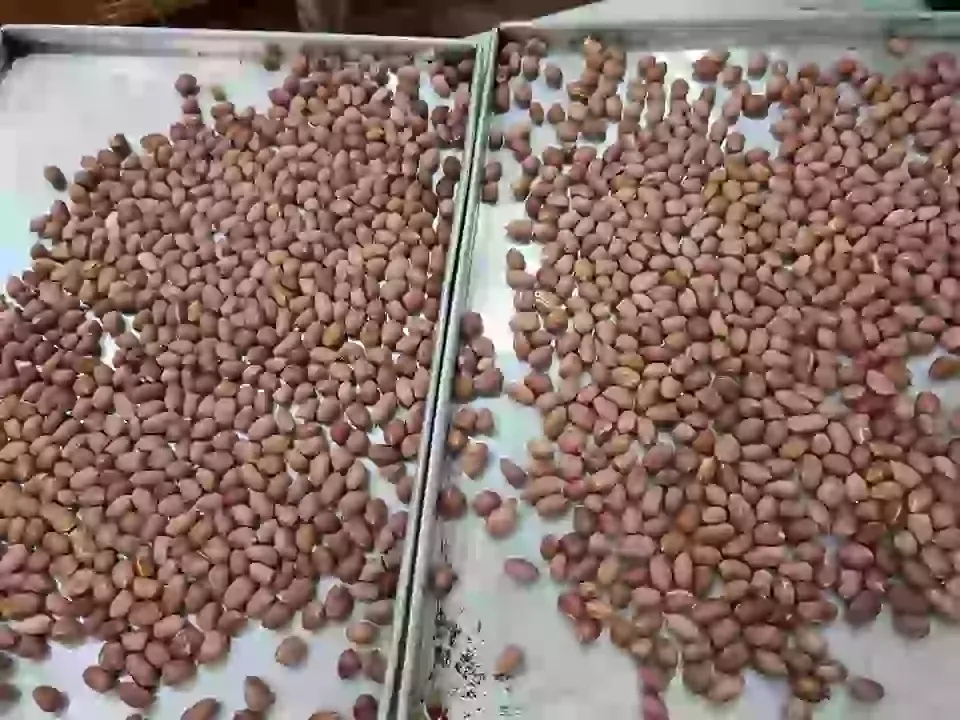 Đậu phộng muối mè ăn xôi, ăn cơm - Nguyen Thuy Nhu