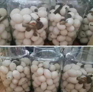 Trứng vịt muối – Nguyễn Thụy Như