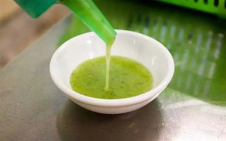 Sốt chấm muối ớt xanh kinh doanh