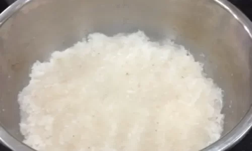 Nhân dừa- Bánh trung thu