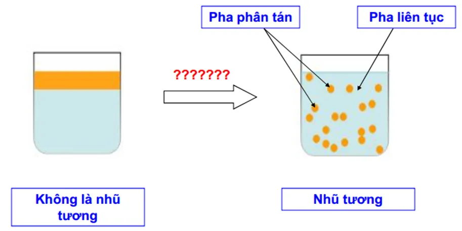 Chất nhũ hoá tạo kết cấu cho các sản phẩm