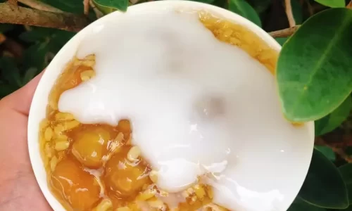Nước cốt dừa ăn chè – Thu Trang Nguyen