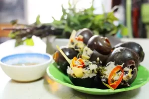 Ốc bươu nhồi thịt hấp gừng sả  – Thụy Như