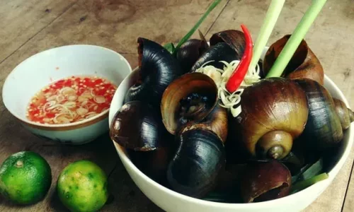Ốc bưu hấp sả ớt – Nghi’s Kitchen