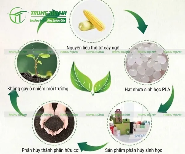 Quá trình phân hủy sinh học