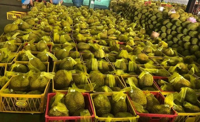 Cách-đóng-gói-sầu-riêng
