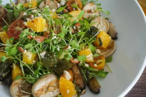 Salad Cam  – Accnhi
