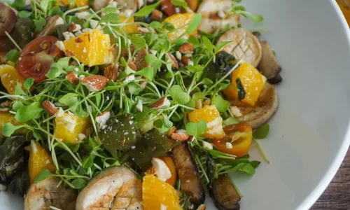 Salad Cam  – Accnhi
