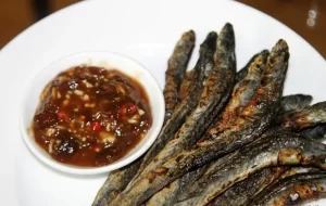 Sốt me – Quang Le