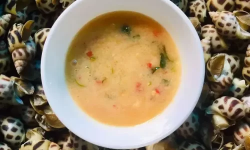 Sốt chấm trắng kinh doanh
