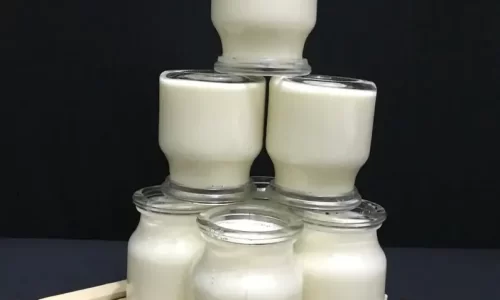 Sữa chua đậu nành – Thư Thư