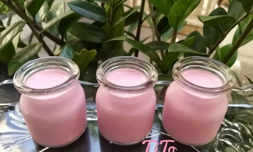 Sữa chua thanh long đỏ – Hien Thanh