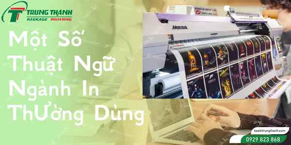 nganh-in-an-ao-bi-tai-Viet-Nam