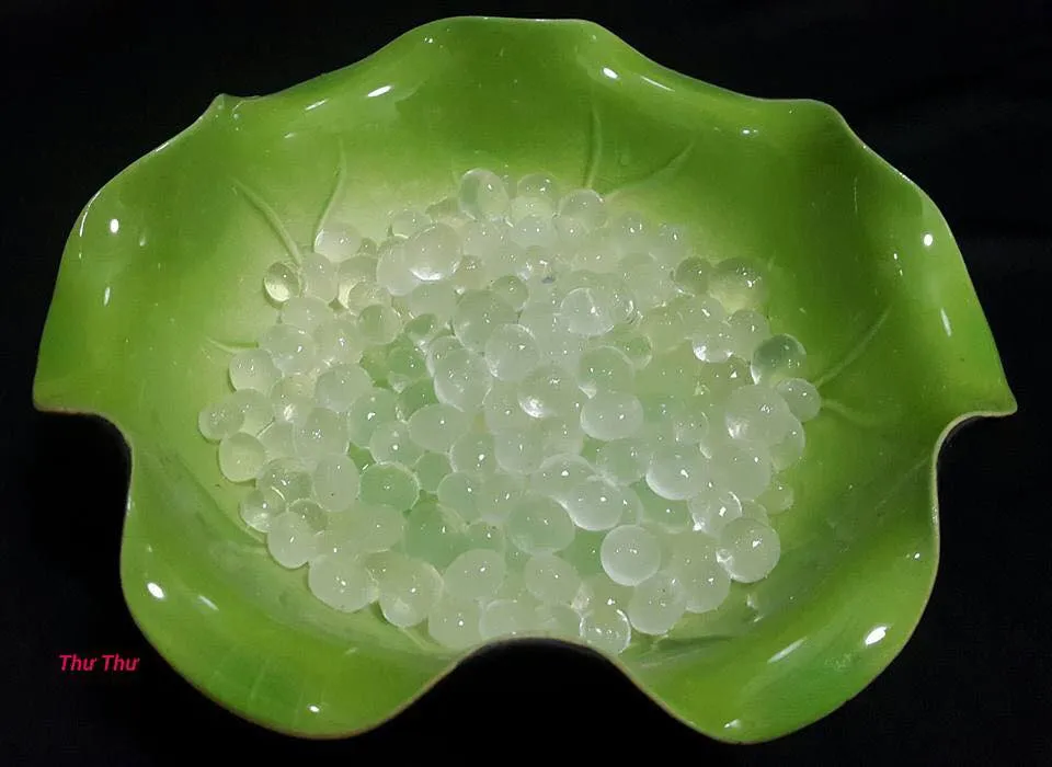 Trà sữa truyền thống và trân châu trắng - Thư Thư