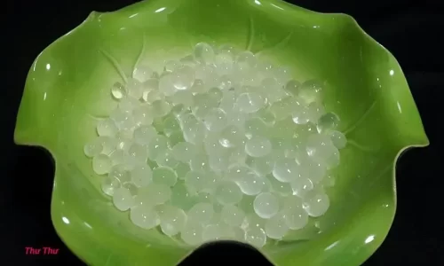 Trà sữa truyền thống và trân châu trắng – Thư Thư